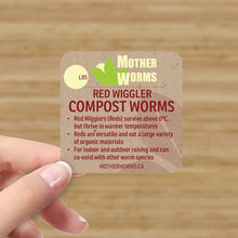 Load image into Gallery viewer, B4) Red Wiggler Compost Worms: 1 Pound (SHIPS WHEN TEMPS ABOVE 0°C)
