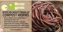 Load image into Gallery viewer, K0) African Nightcrawler Compost Worms: 1/4 lbs Real Worm Weight (SHIPS WHEN TEMPS ABOVE 10°C)