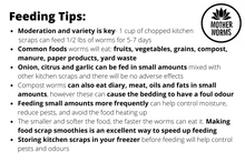 Load image into Gallery viewer, B3) Red Wiggler Compost Worms: 1/2 lbs Real Worm Weight (SHIPS WHEN TEMPS ABOVE 0°C)