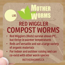 Load image into Gallery viewer, Red Wiggler Compost Worms