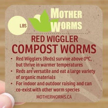 Load image into Gallery viewer, red compost worms canada