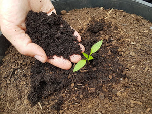 L3) Genuine Compost Worm Castings 28L
