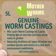 Load image into Gallery viewer, worm castings ontario mother worms
