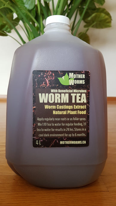 worm tea extract canada