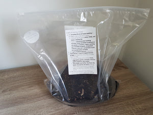 Q1) Zen Bag: Sealed Indoor Worm Composter (Lettermail Eligible)