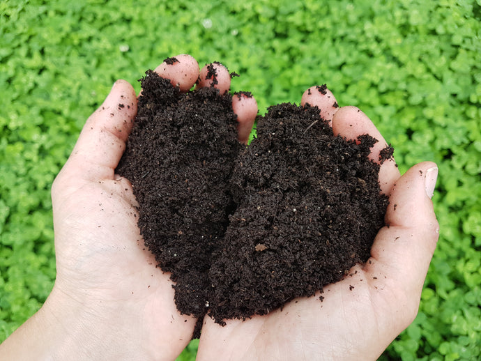 vermicompost canada