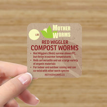 Load image into Gallery viewer, B4) Red Wiggler Compost Worms: 1 lbs Real Worm Weight (SHIPS WHEN TEMPS ABOVE 0°C)
