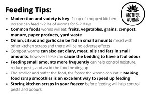 J1) European Nightcrawler Compost / Fishing Worms: 1/2 lbs Real Worm Weight (SHIPS WHEN TEMPS ABOVE 0°C)