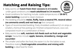 C2) ADD-ON: 250 Red Wiggler Cocoons (SHIPS WHEN TEMPS ABOVE 0°C)