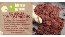 Load image into Gallery viewer, B3) Red Wiggler Compost Worms: 1/2 Pound (SHIPS WHEN TEMPS ABOVE 0°C)
