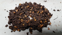 Load image into Gallery viewer, K3) 500 African Nightcrawler Cocoons (SHIPS WHEN NIGHT-TIME TEMPS ABOVE 10°C)
