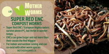Load image into Gallery viewer, super red compost worms canada
